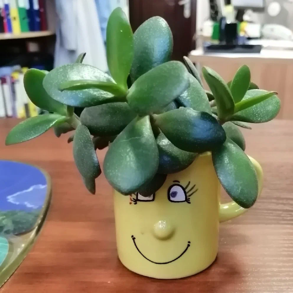 Татьяна Воронова